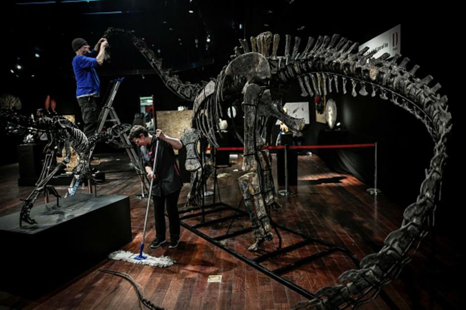 The 'trophy' dinosaurs: $1.6 million (£1.3m)